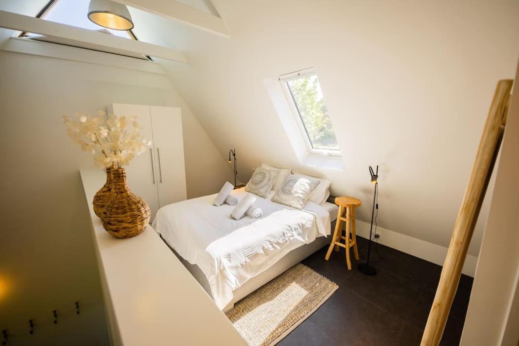 Wonderful 50M2 Loft Eindhoven - Ks8 Lägenhet Exteriör bild