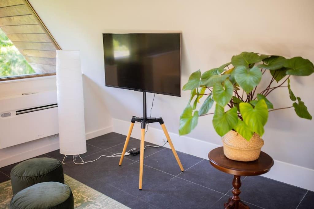 Wonderful 50M2 Loft Eindhoven - Ks8 Lägenhet Exteriör bild